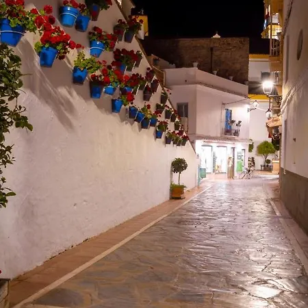 公寓 Banus - Front 马尔韦利亚