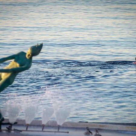 Banus - Front Марбелья